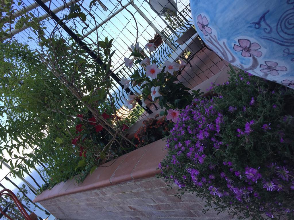 La Terrazza Sul Mare 3* Taormina